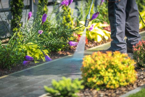 Best Post-Construction Pressure Washing  in Whitmore Lake, MI
