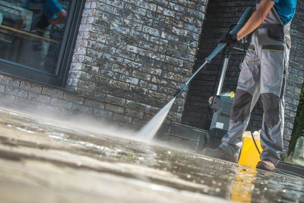 Best Soft Washing  in Whitmore Lake, MI